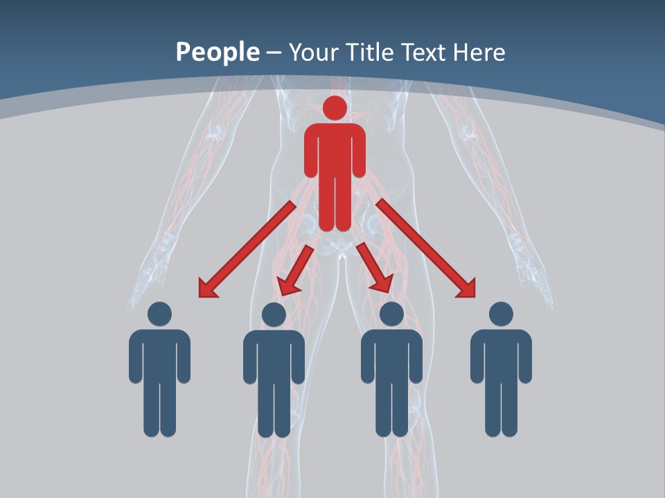 Science Anatomical Healthy PowerPoint Template