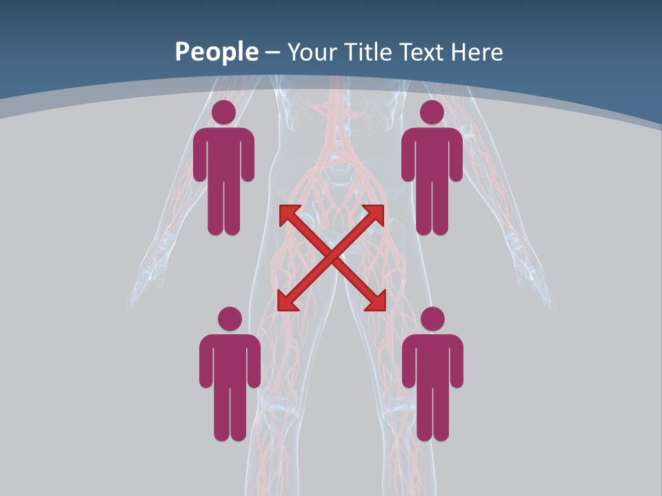 Science Anatomical Healthy PowerPoint Template