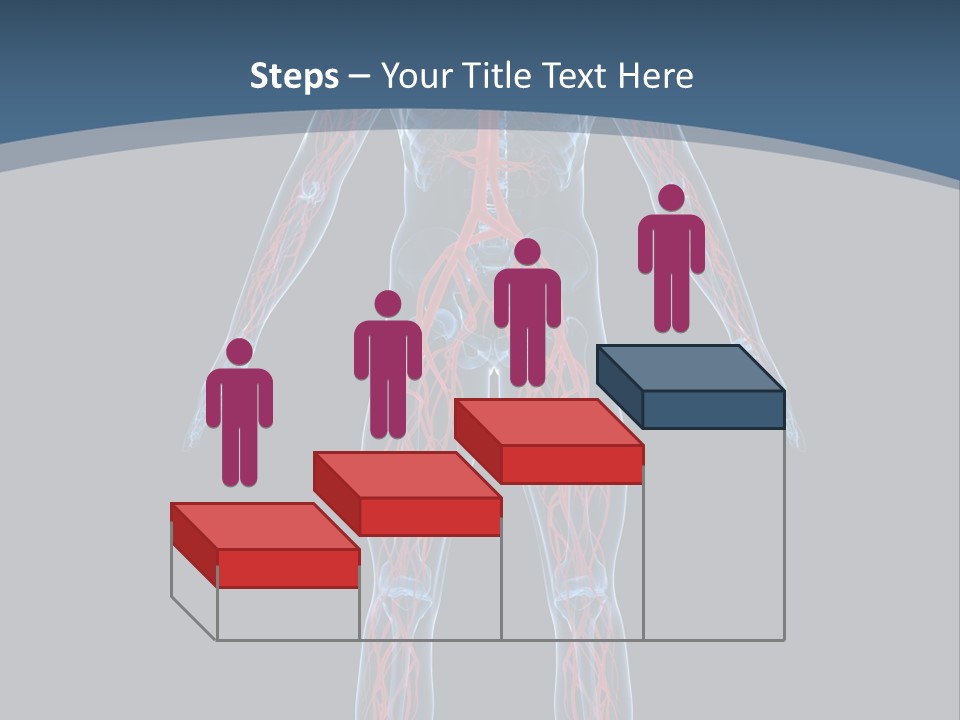 Science Anatomical Healthy PowerPoint Template