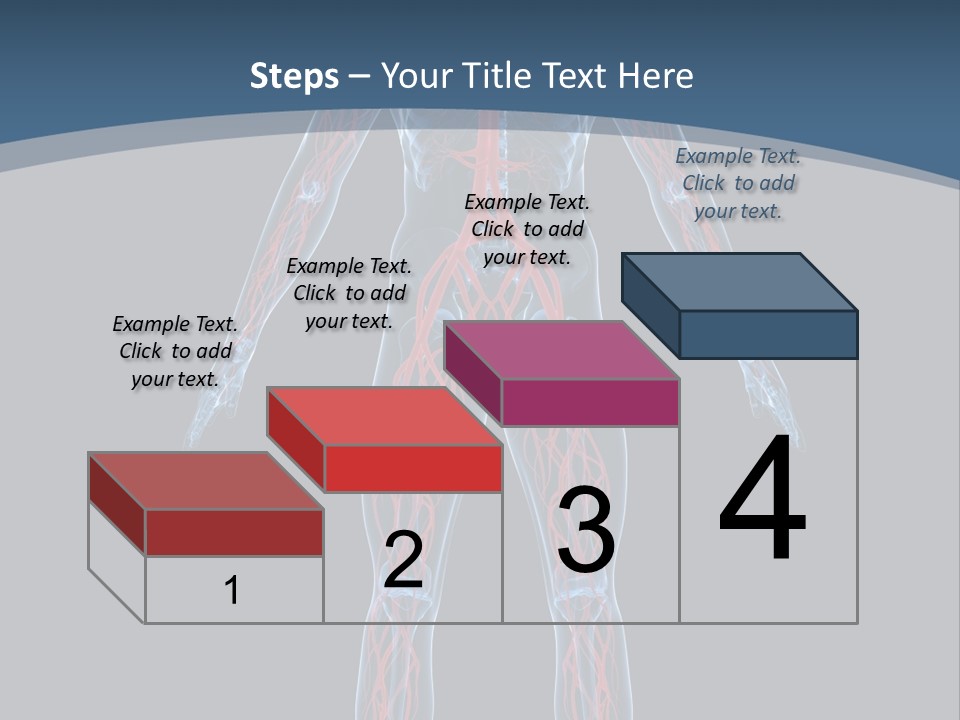 Science Anatomical Healthy PowerPoint Template