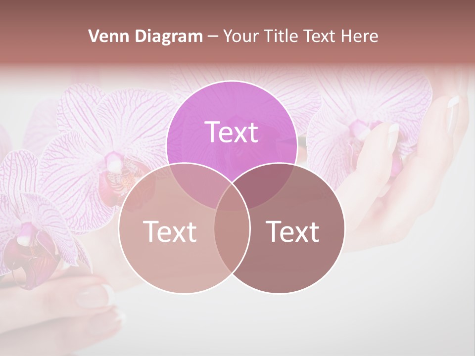 Shiny Beauty Makeup PowerPoint Template