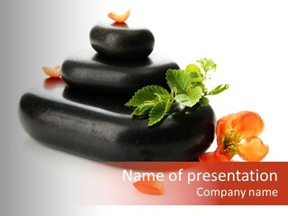 Many Massage Rock PowerPoint Template