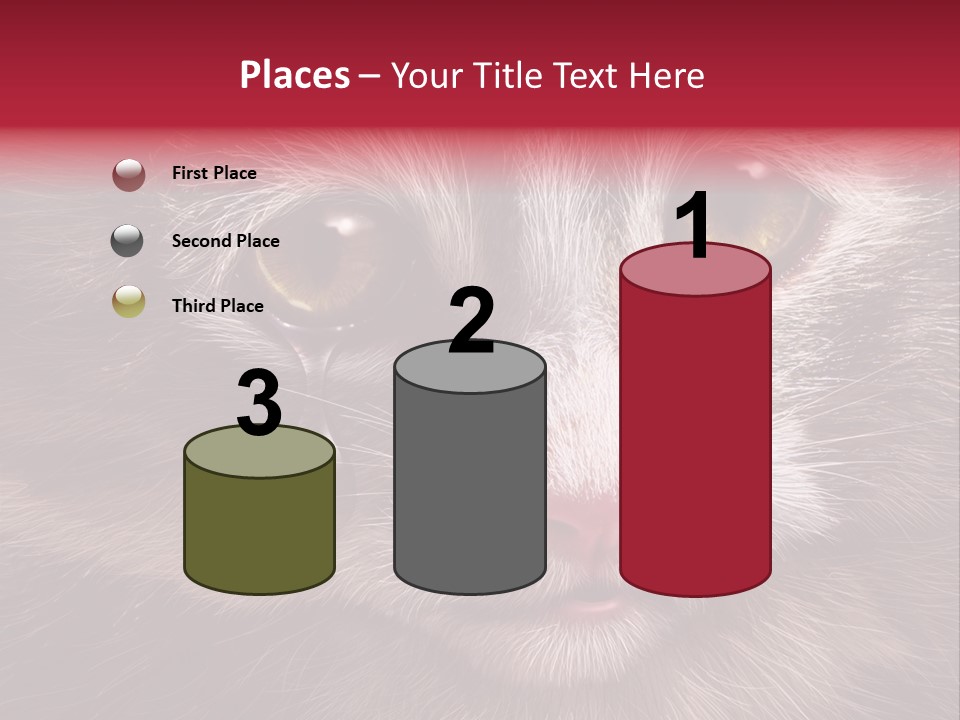 Animal Suffering Pet Abuse Animal Welfare PowerPoint Template