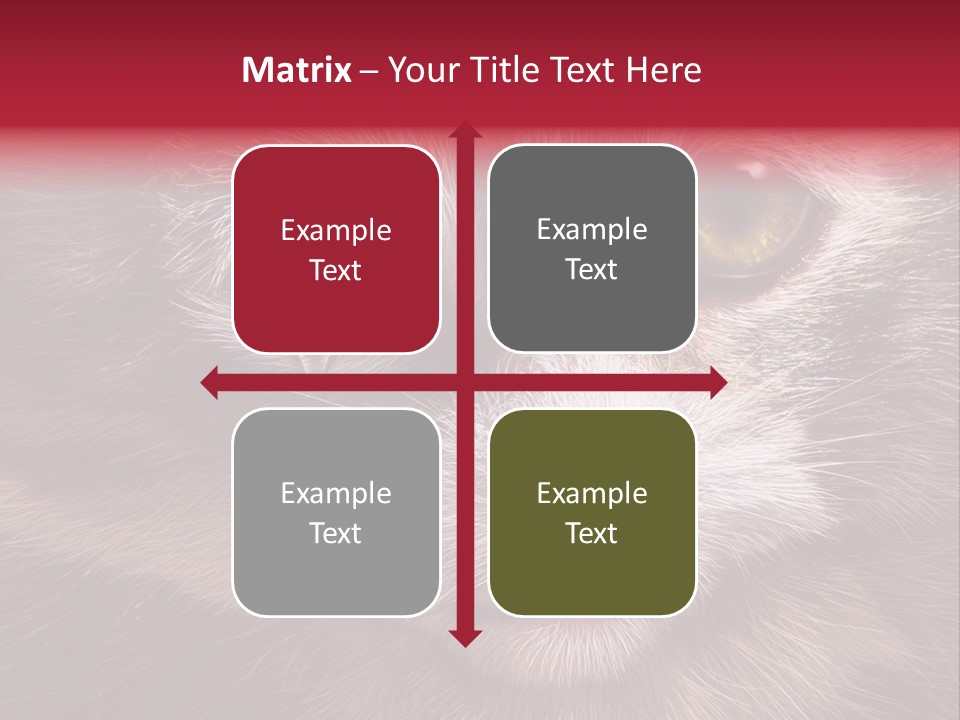 Animal Suffering Pet Abuse Animal Welfare PowerPoint Template