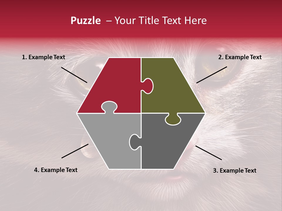 Animal Suffering Pet Abuse Animal Welfare PowerPoint Template