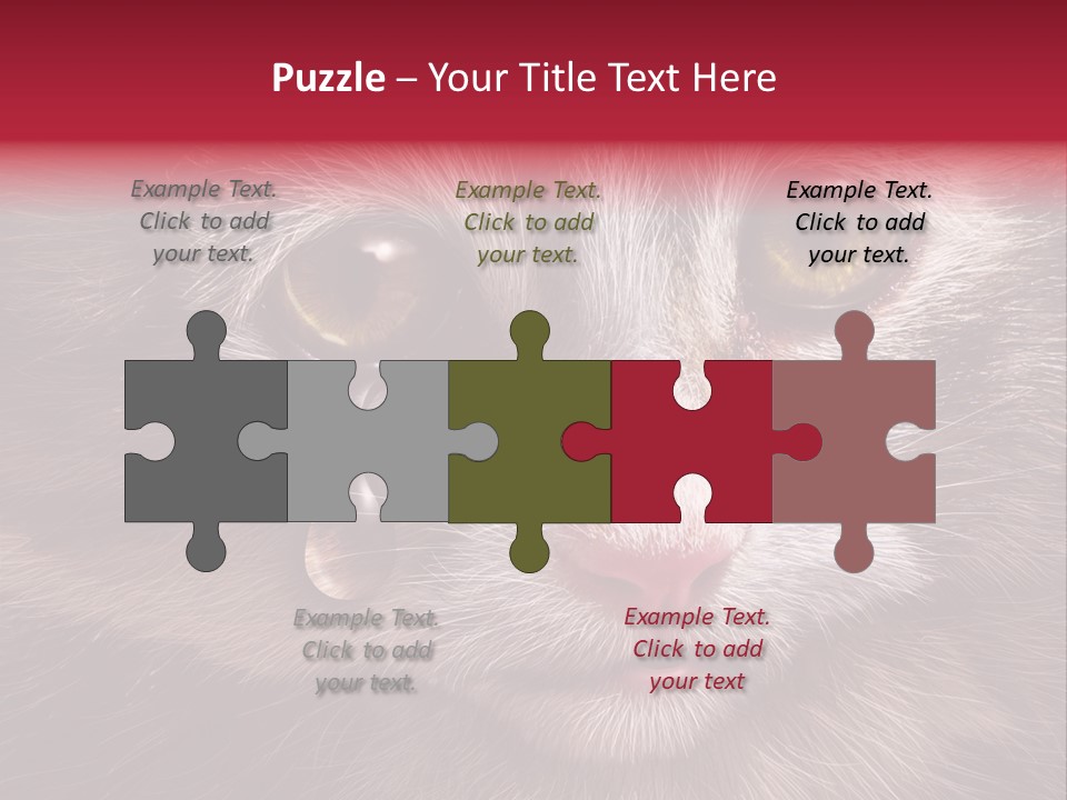 Animal Suffering Pet Abuse Animal Welfare PowerPoint Template