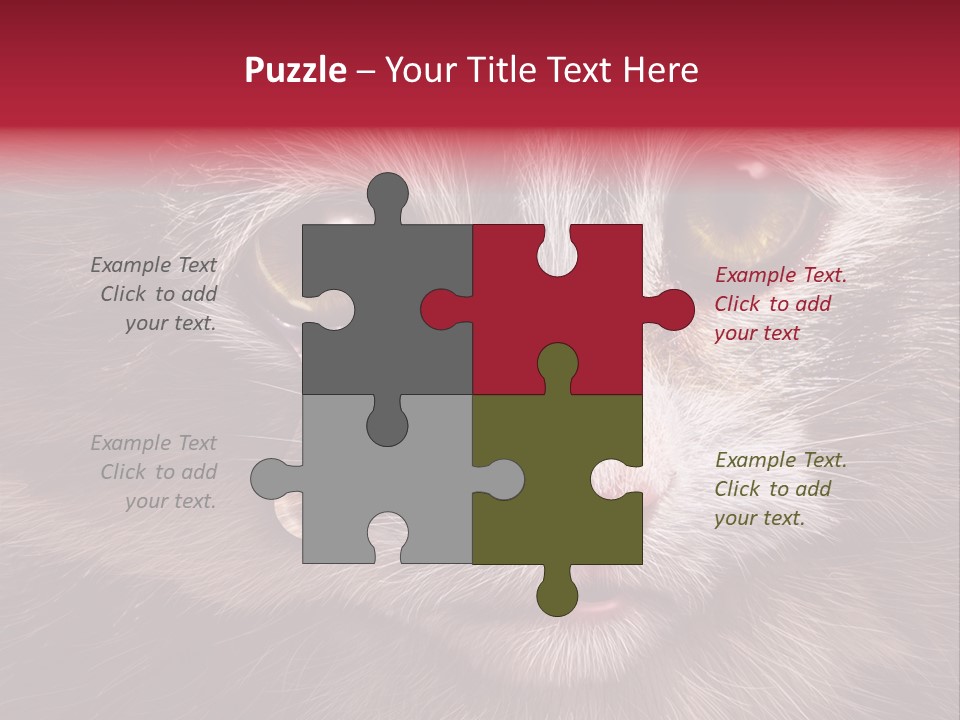 Animal Suffering Pet Abuse Animal Welfare PowerPoint Template