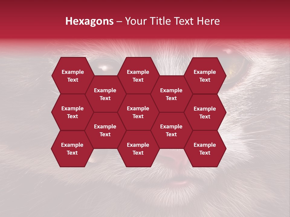 Animal Suffering Pet Abuse Animal Welfare PowerPoint Template