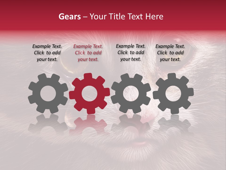 Animal Suffering Pet Abuse Animal Welfare PowerPoint Template