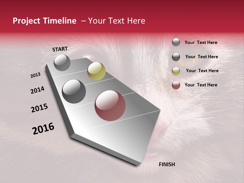 Animal Suffering Pet Abuse Animal Welfare PowerPoint Template