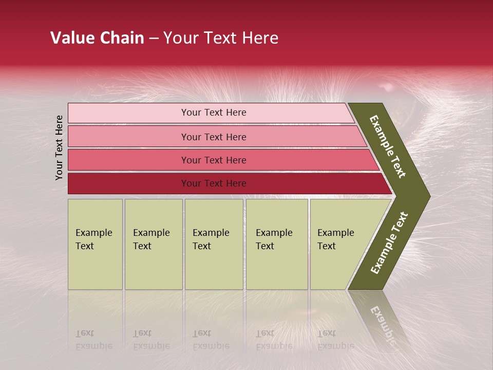 Animal Suffering Pet Abuse Animal Welfare PowerPoint Template