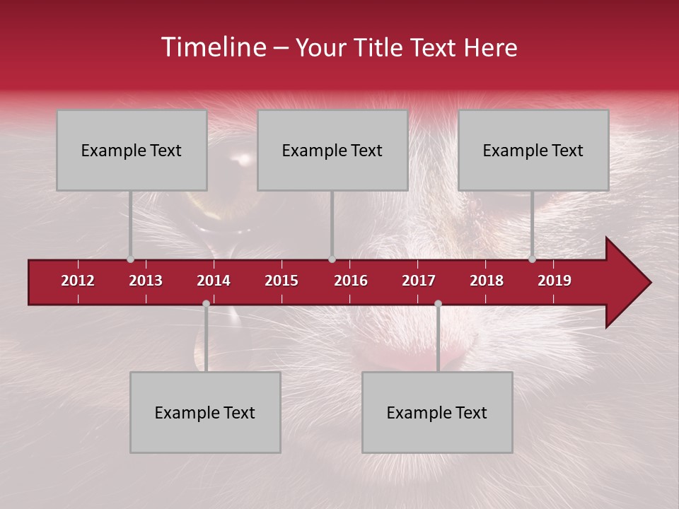 Animal Suffering Pet Abuse Animal Welfare PowerPoint Template