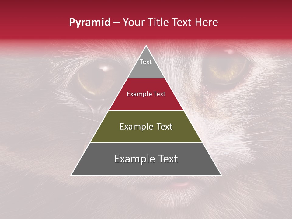 Animal Suffering Pet Abuse Animal Welfare PowerPoint Template