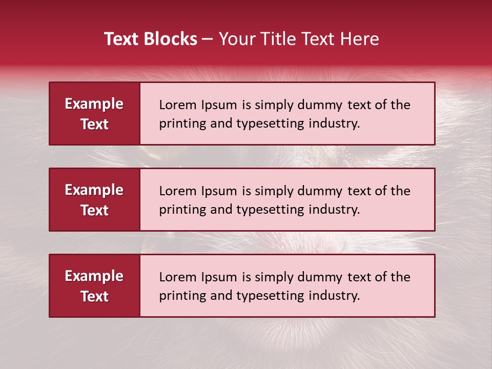 Animal Suffering Pet Abuse Animal Welfare PowerPoint Template