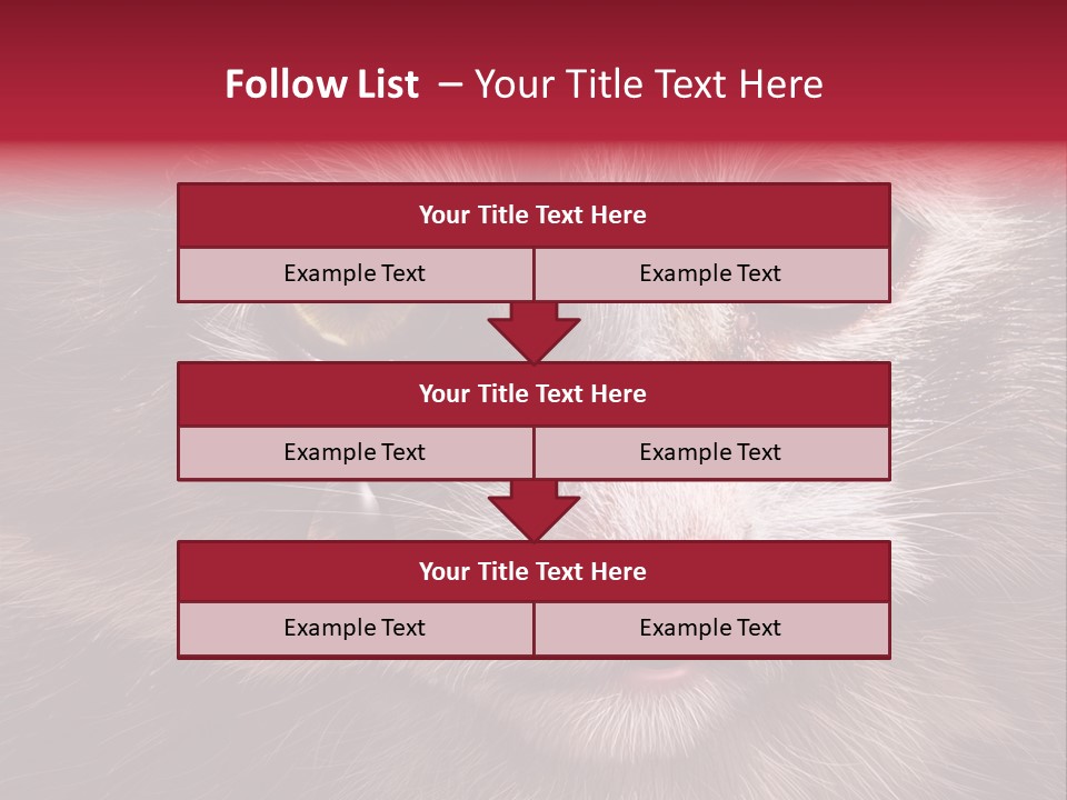 Animal Suffering Pet Abuse Animal Welfare PowerPoint Template