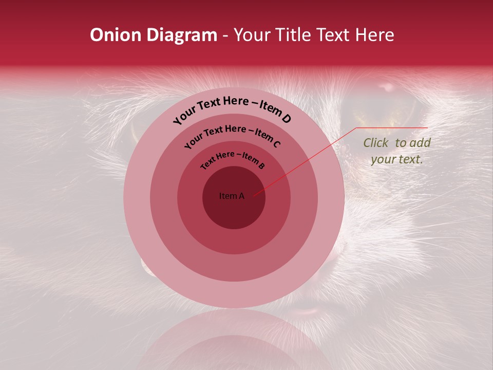 Animal Suffering Pet Abuse Animal Welfare PowerPoint Template