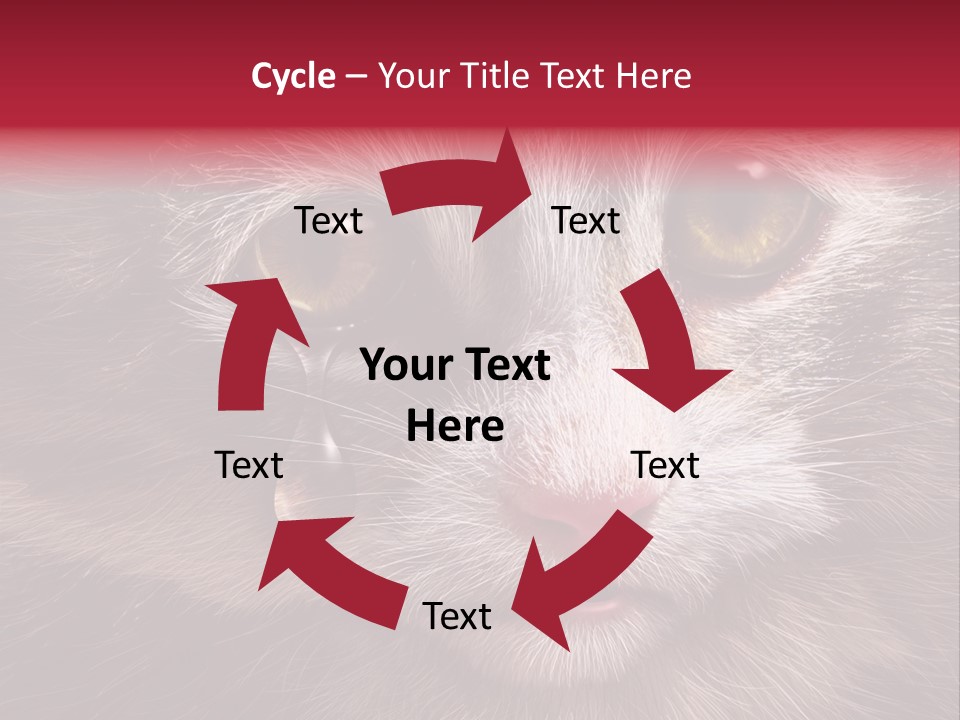 Animal Suffering Pet Abuse Animal Welfare PowerPoint Template