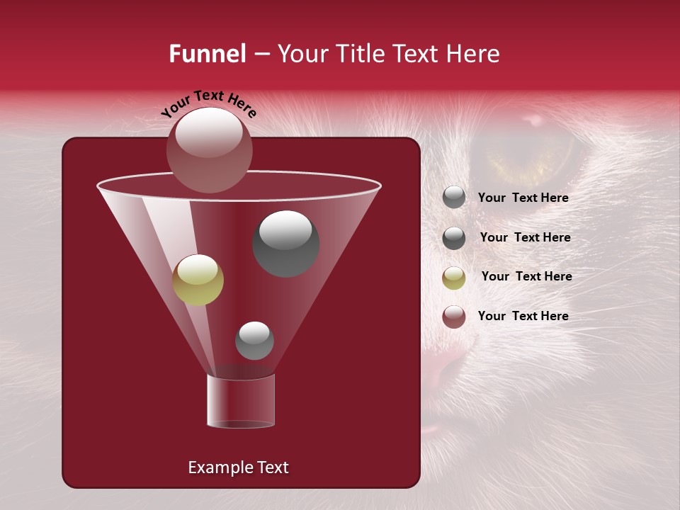 Animal Suffering Pet Abuse Animal Welfare PowerPoint Template