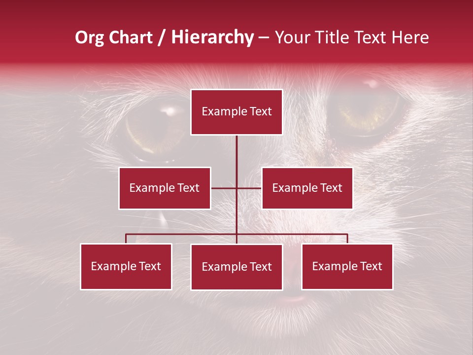 Animal Suffering Pet Abuse Animal Welfare PowerPoint Template