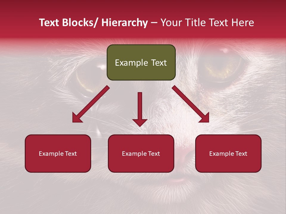 Animal Suffering Pet Abuse Animal Welfare PowerPoint Template