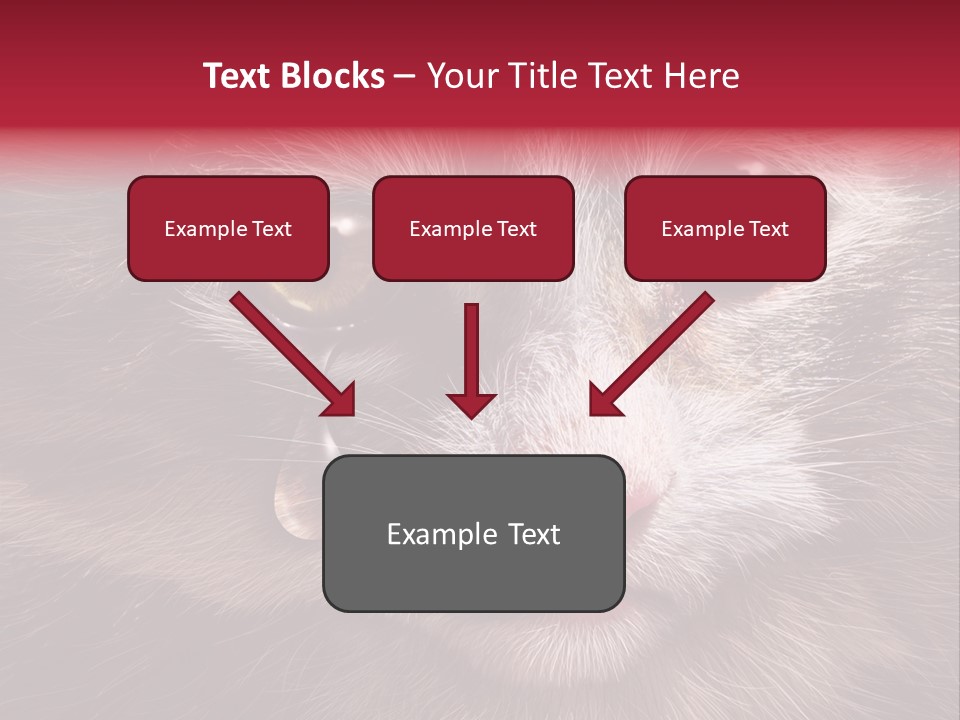 Animal Suffering Pet Abuse Animal Welfare PowerPoint Template