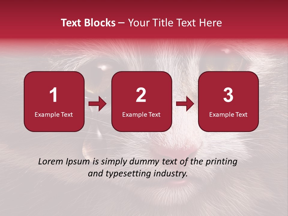 Animal Suffering Pet Abuse Animal Welfare PowerPoint Template