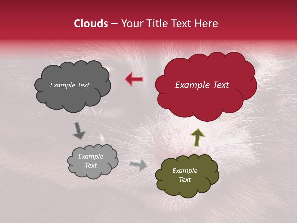 Animal Suffering Pet Abuse Animal Welfare PowerPoint Template