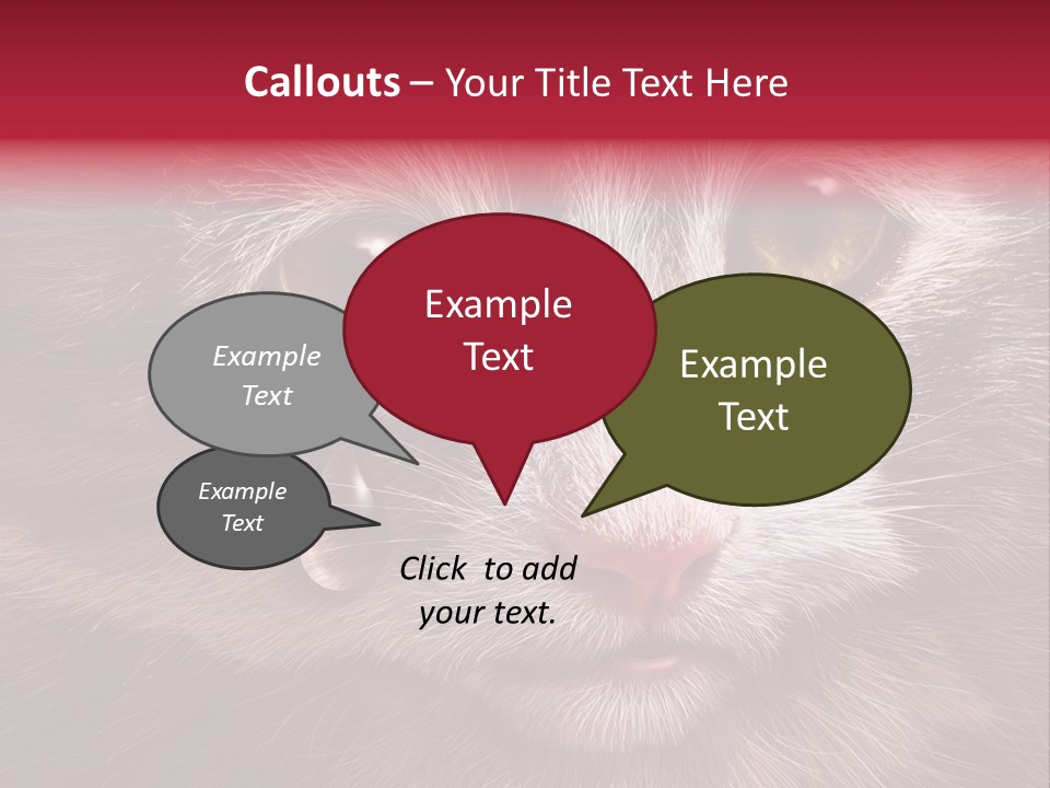 Animal Suffering Pet Abuse Animal Welfare PowerPoint Template