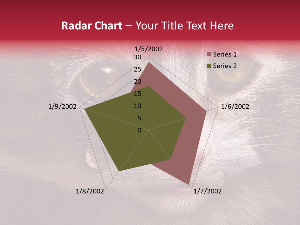 Animal Suffering Pet Abuse Animal Welfare PowerPoint Template