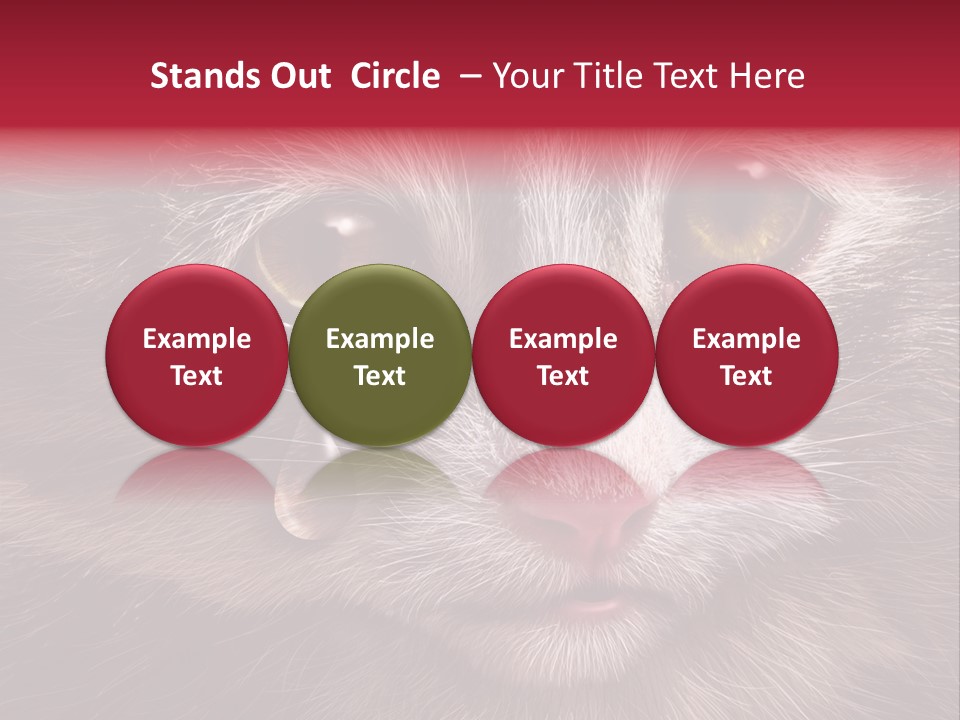 Animal Suffering Pet Abuse Animal Welfare PowerPoint Template