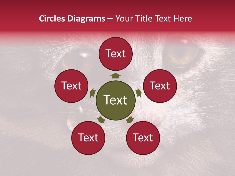 Animal Suffering Pet Abuse Animal Welfare PowerPoint Template