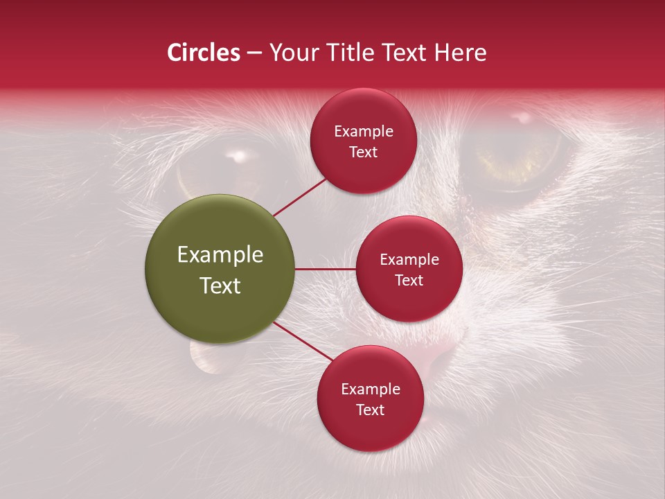 Animal Suffering Pet Abuse Animal Welfare PowerPoint Template