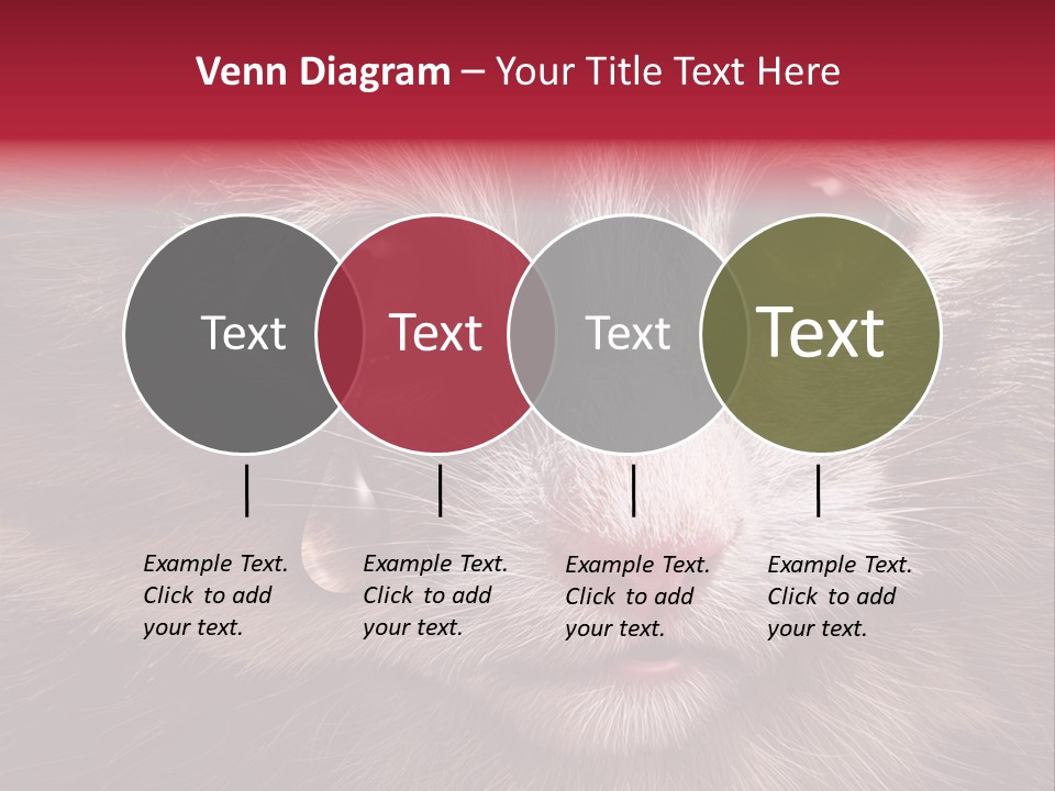 Animal Suffering Pet Abuse Animal Welfare PowerPoint Template