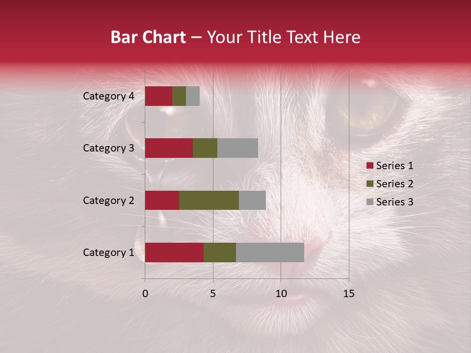 Animal Suffering Pet Abuse Animal Welfare PowerPoint Template