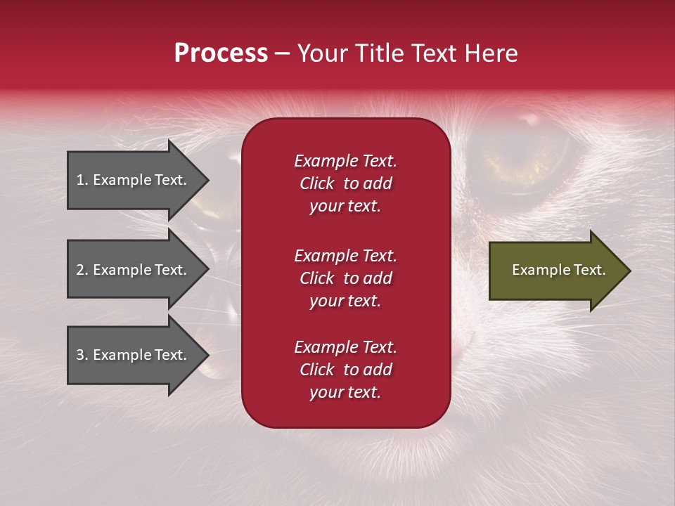 Animal Suffering Pet Abuse Animal Welfare PowerPoint Template