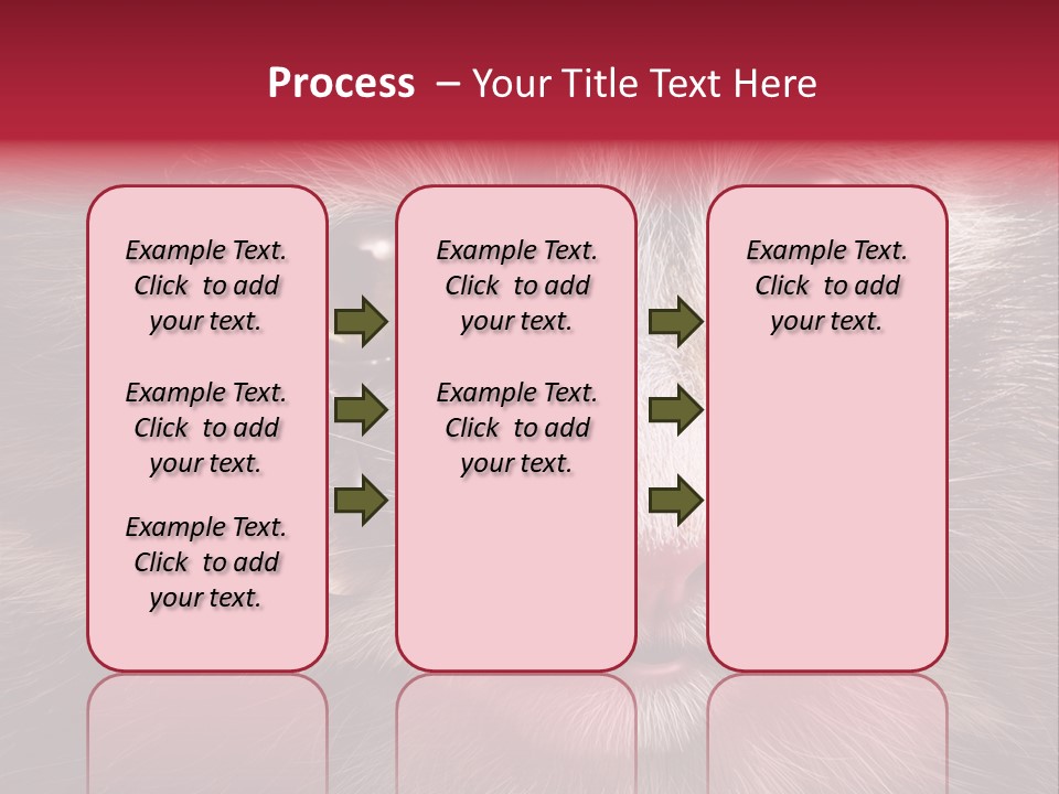 Animal Suffering Pet Abuse Animal Welfare PowerPoint Template