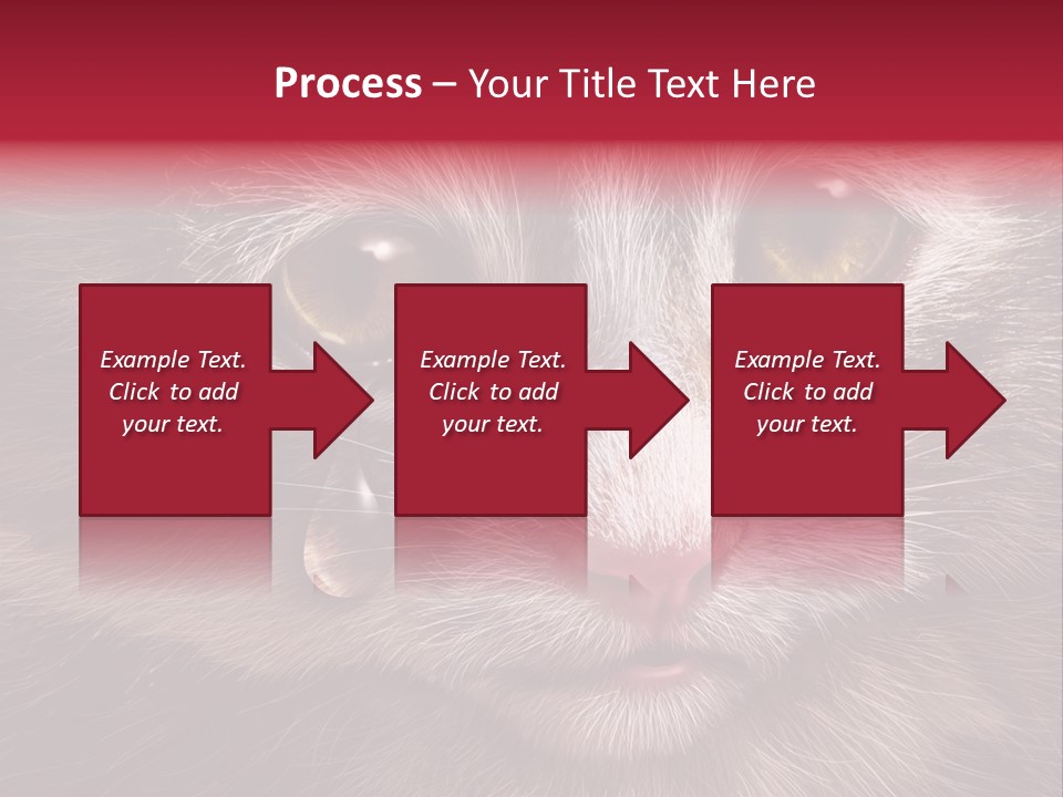 Animal Suffering Pet Abuse Animal Welfare PowerPoint Template