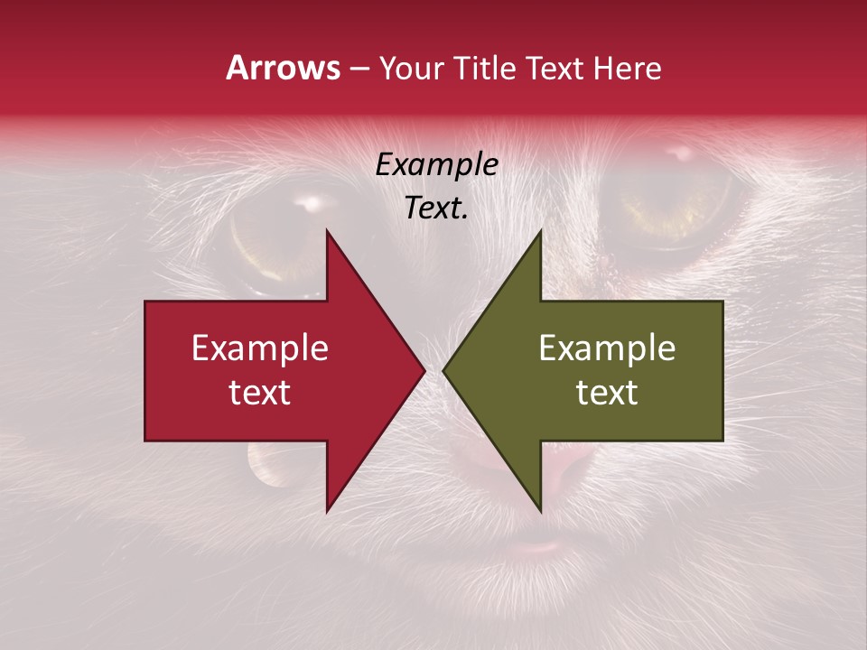 Animal Suffering Pet Abuse Animal Welfare PowerPoint Template