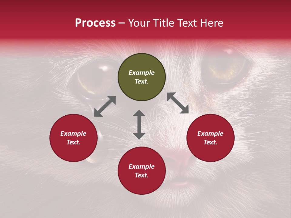 Animal Suffering Pet Abuse Animal Welfare PowerPoint Template