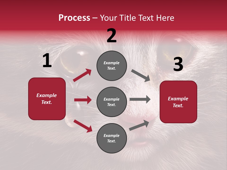 Animal Suffering Pet Abuse Animal Welfare PowerPoint Template