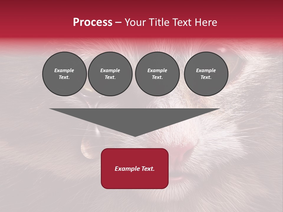 Animal Suffering Pet Abuse Animal Welfare PowerPoint Template