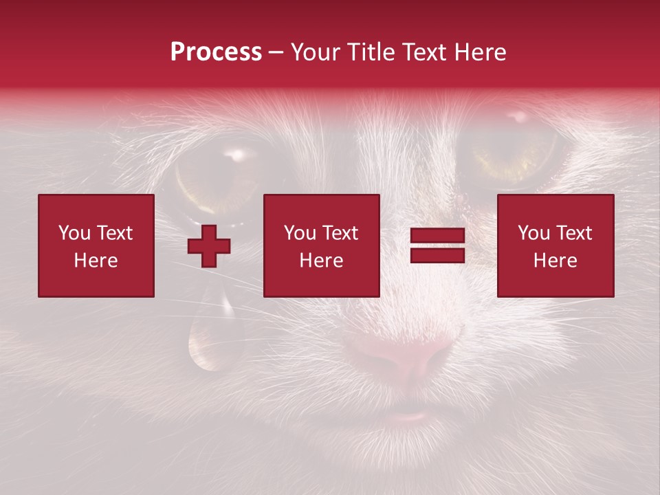 Animal Suffering Pet Abuse Animal Welfare PowerPoint Template