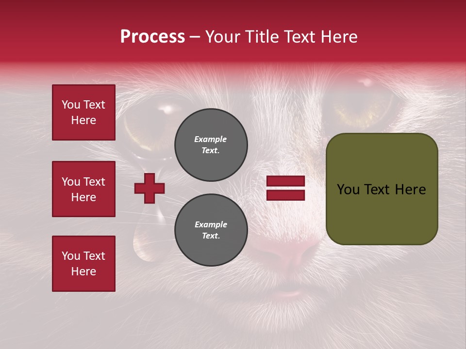Animal Suffering Pet Abuse Animal Welfare PowerPoint Template