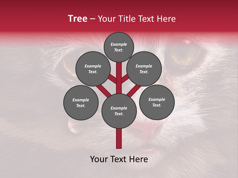 Animal Suffering Pet Abuse Animal Welfare PowerPoint Template