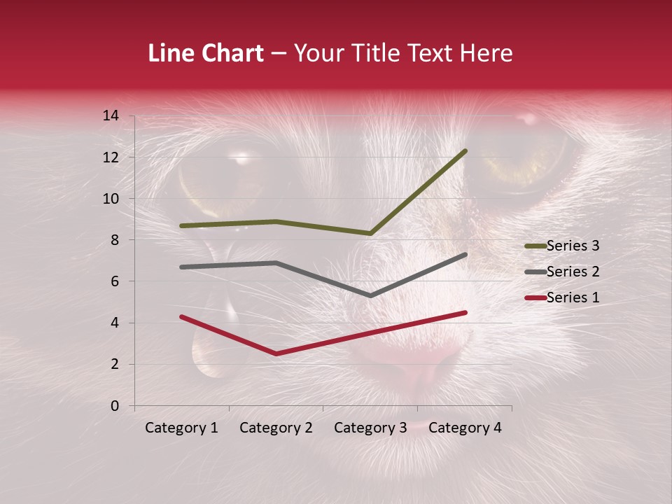 Animal Suffering Pet Abuse Animal Welfare PowerPoint Template