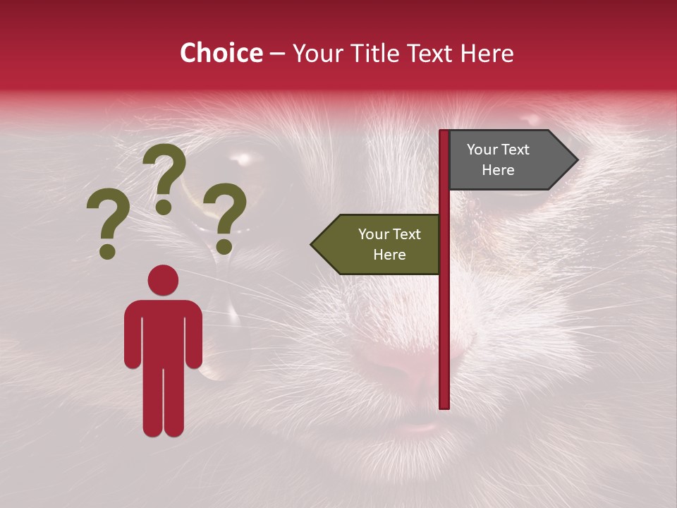 Animal Suffering Pet Abuse Animal Welfare PowerPoint Template