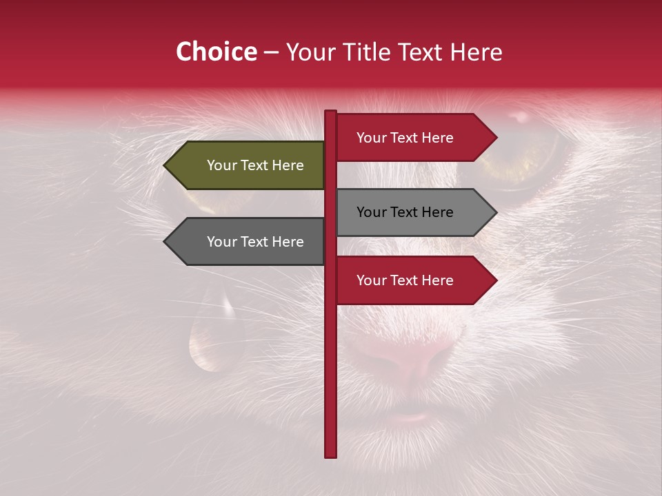 Animal Suffering Pet Abuse Animal Welfare PowerPoint Template