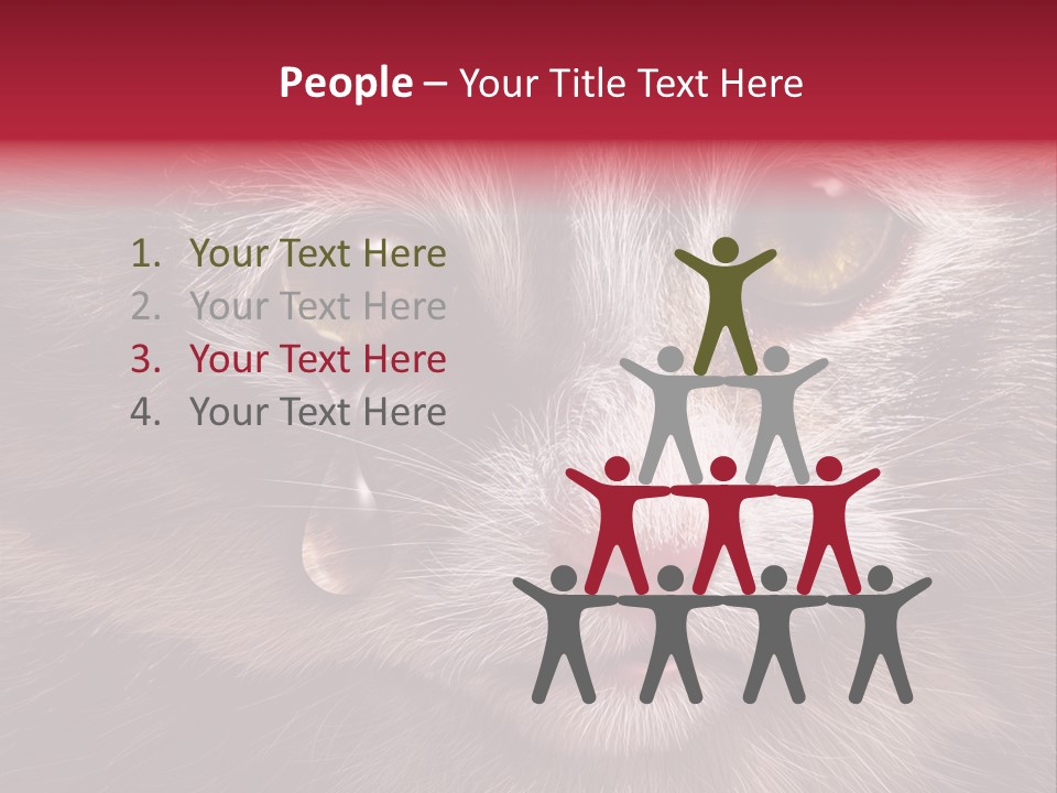 Animal Suffering Pet Abuse Animal Welfare PowerPoint Template