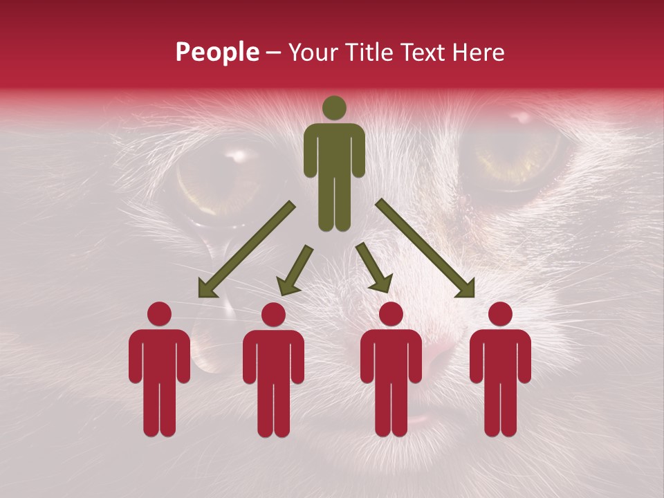 Animal Suffering Pet Abuse Animal Welfare PowerPoint Template