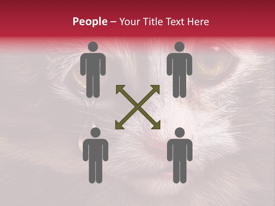 Animal Suffering Pet Abuse Animal Welfare PowerPoint Template